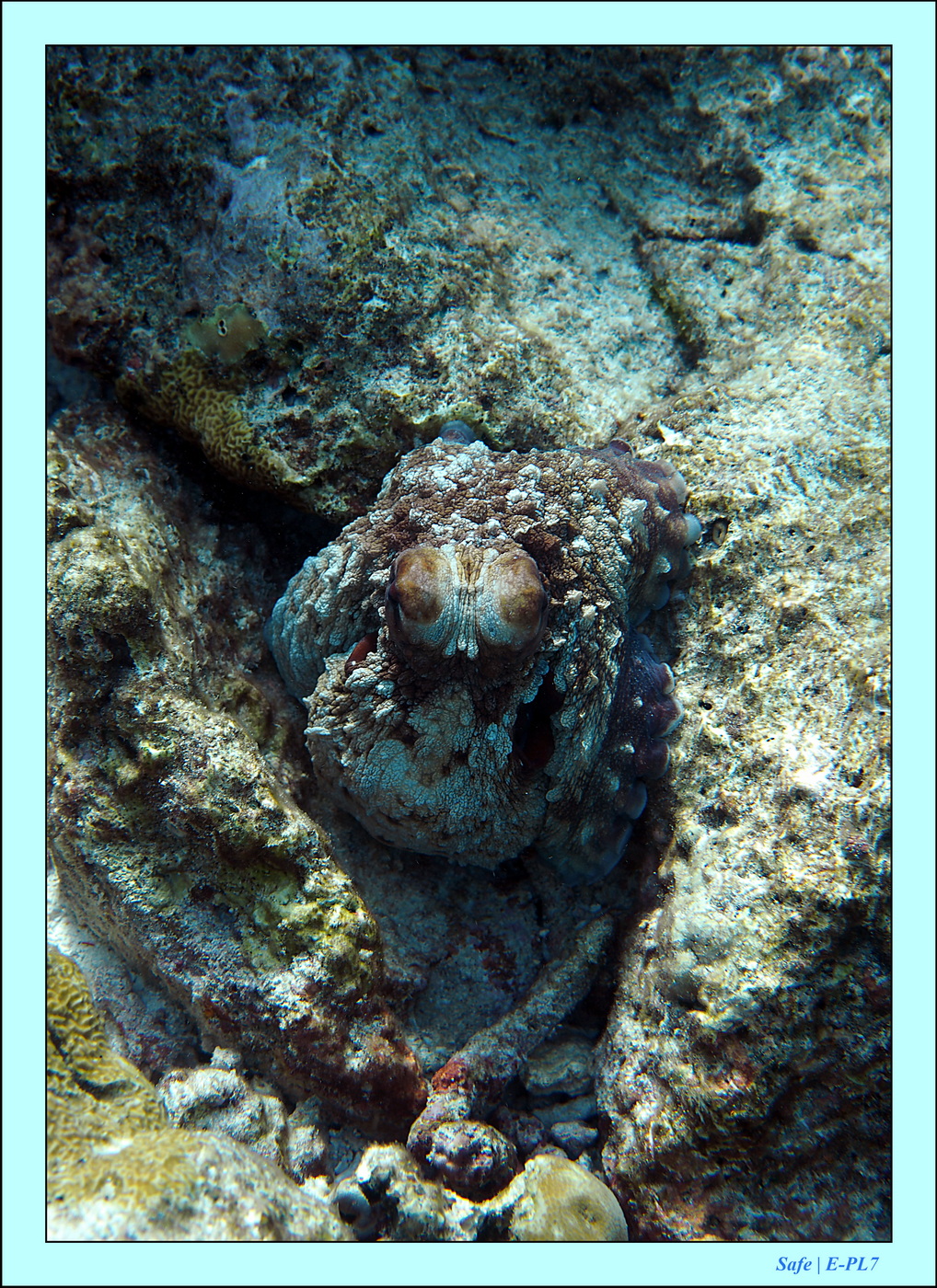 2023 - 07 - Sandies Bathala - 153